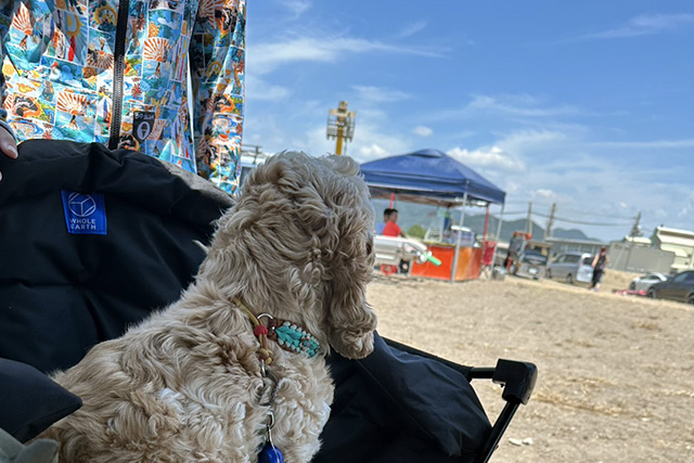 赤穂市　恋ヶ浜プライベートビーチ。ジェットスキー。トーイングチューブ。サップ。BBQ。車中泊。キャンプ。