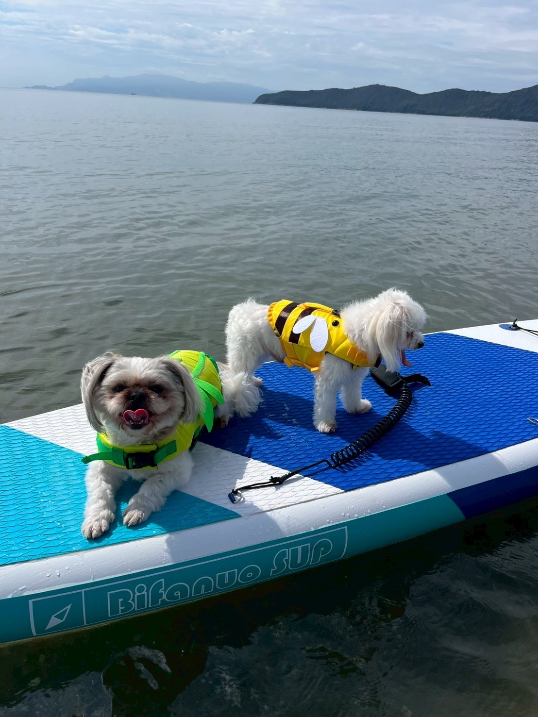 赤穂市　恋ヶ浜プライベートビーチ。ジェットスキー。トーイングチューブ。サップ。BBQ。車中泊。キャンプ。