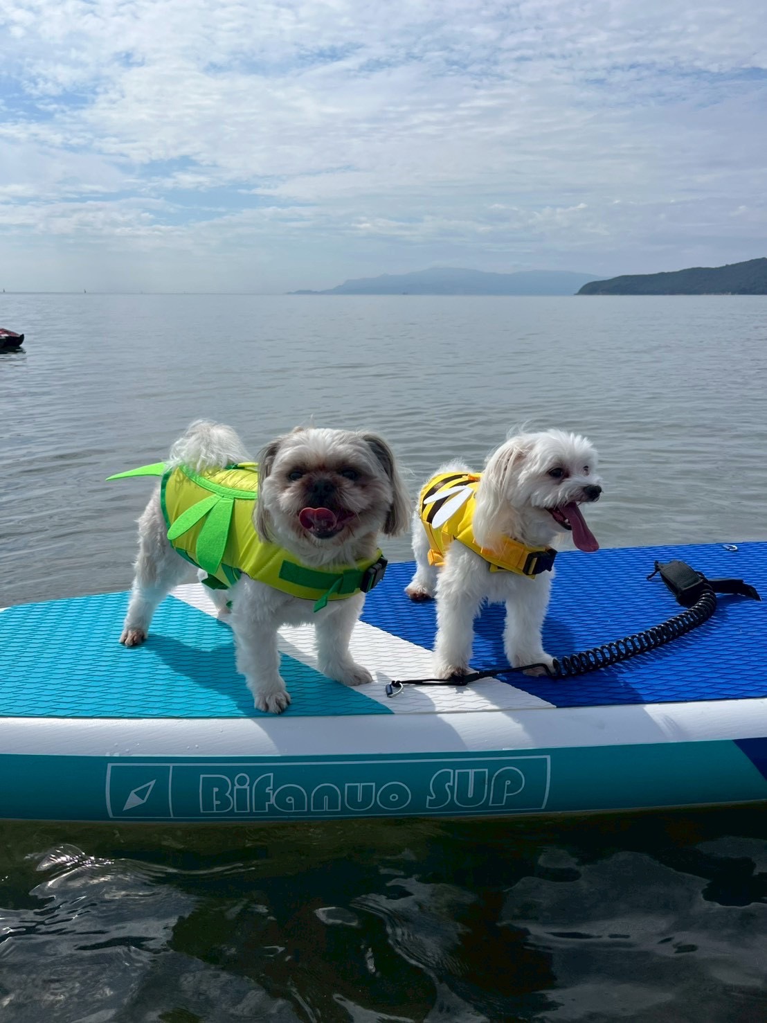 赤穂市　恋ヶ浜プライベートビーチ。ジェットスキー。トーイングチューブ。サップ。BBQ。車中泊。キャンプ。