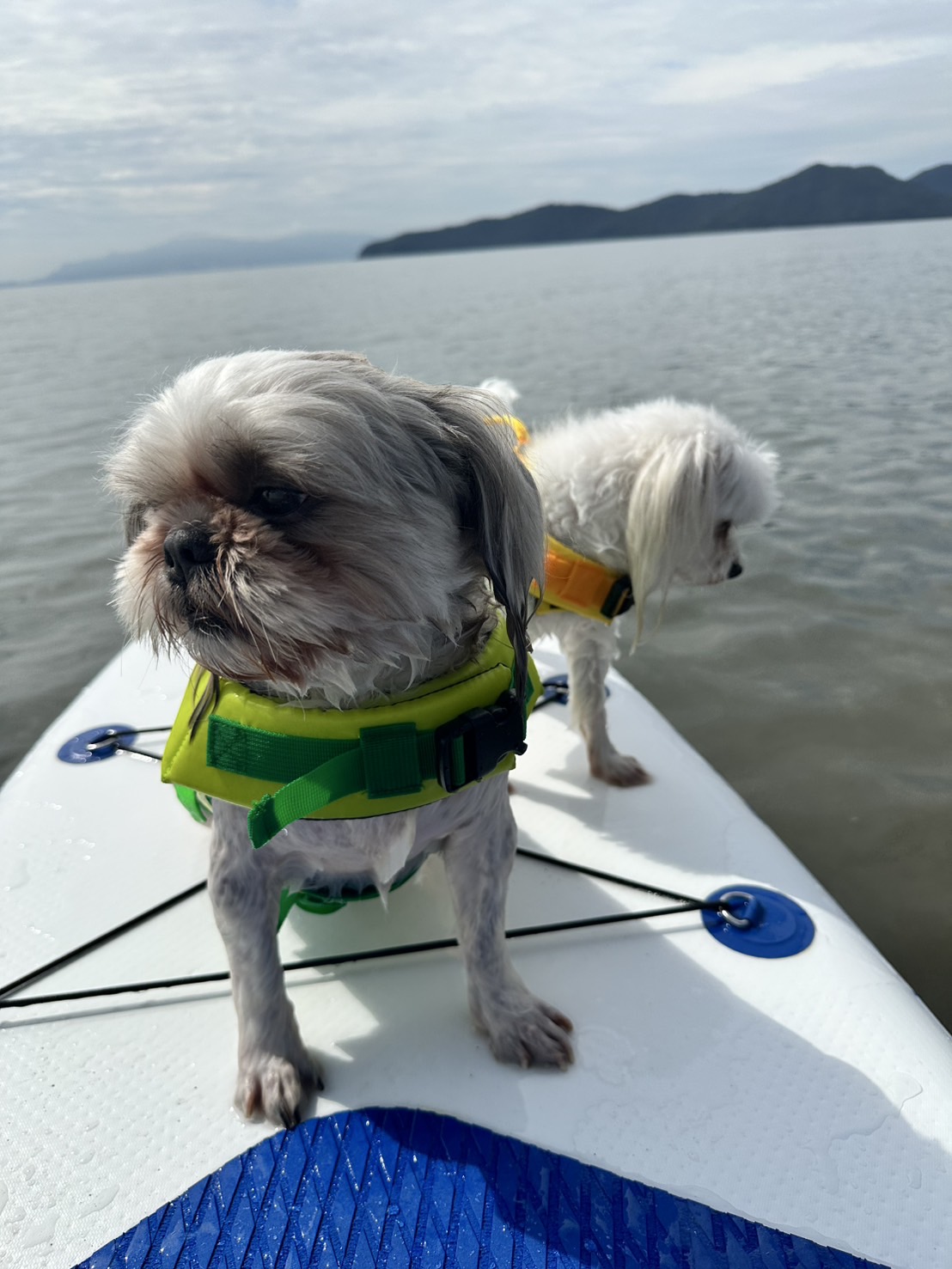 赤穂市　恋ヶ浜プライベートビーチ。ジェットスキー。トーイングチューブ。サップ。BBQ。車中泊。キャンプ。