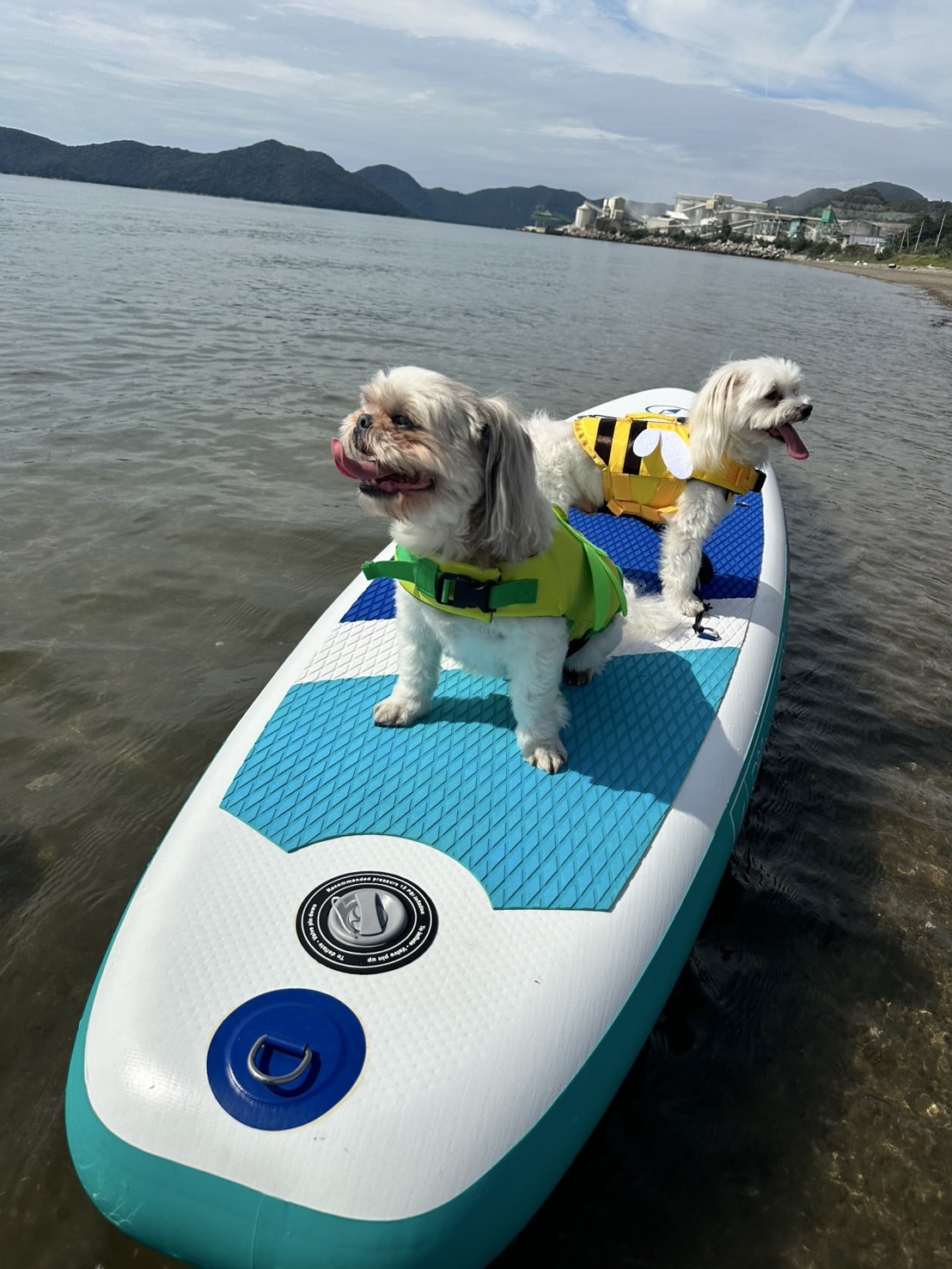 赤穂市　恋ヶ浜プライベートビーチ。ジェットスキー。トーイングチューブ。サップ。BBQ。車中泊。キャンプ。