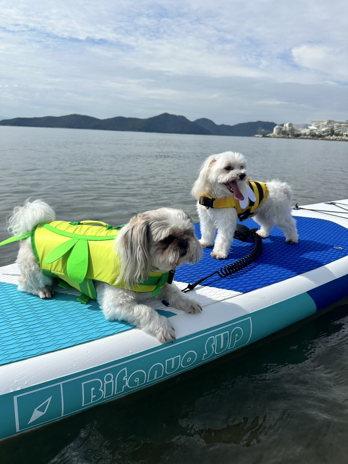 赤穂市　恋ヶ浜プライベートビーチ。ジェットスキー。トーイングチューブ。サップ。BBQ。車中泊。キャンプ。